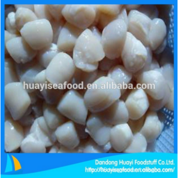 fresh frozen sufficient bay scallop with ample quantity